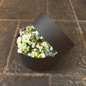 box flower-2JPG